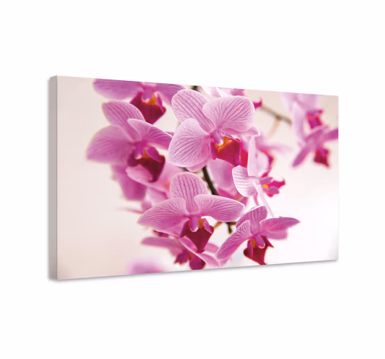 Canvas schilderij bloemen en planten delicate orchideeën - TenStickers