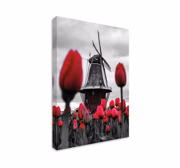 Canvas landschap windmill en tulpen - TenStickers