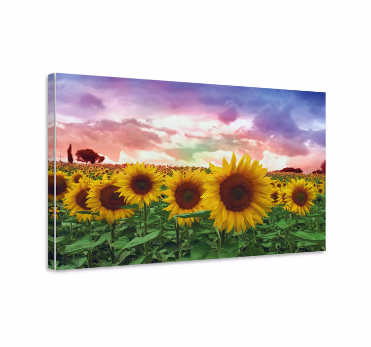 Levendig zonnebloemveld Canvas schilderij bloemen en planten - TenStickers