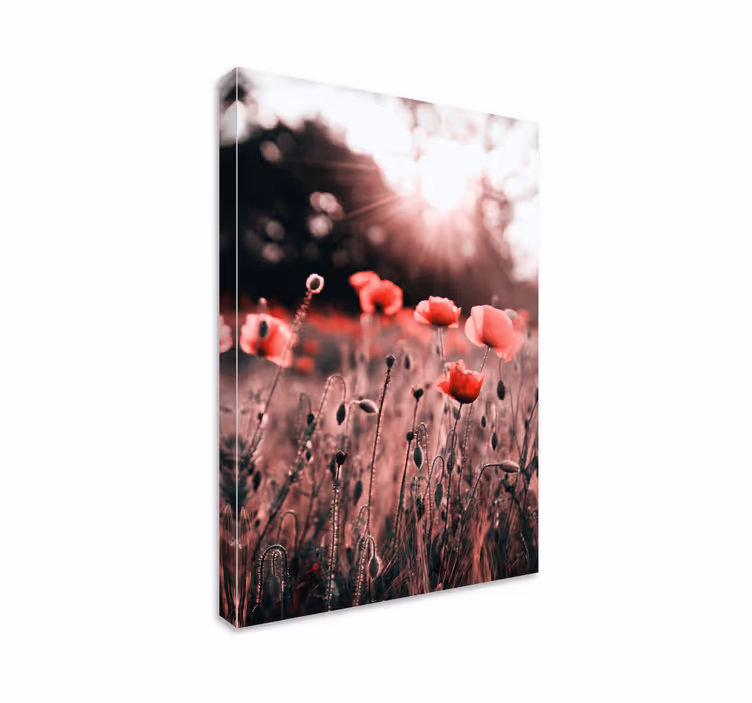 Canvas schilderij bloemen en planten poppyweide straling - TenStickers