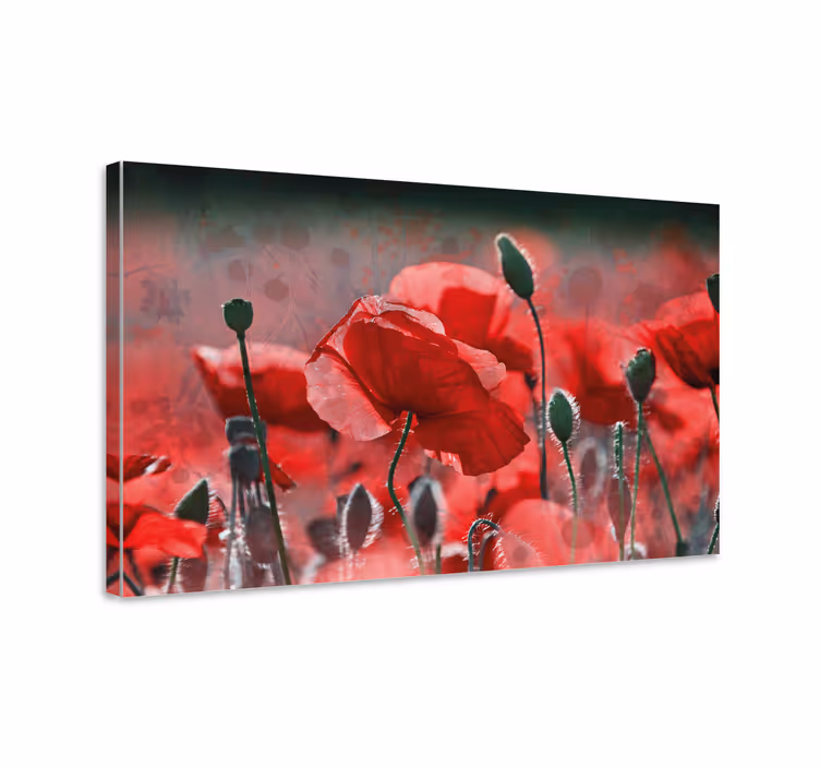 Canvas schilderijen bloemen Rood en groen papaverveld - TenStickers
