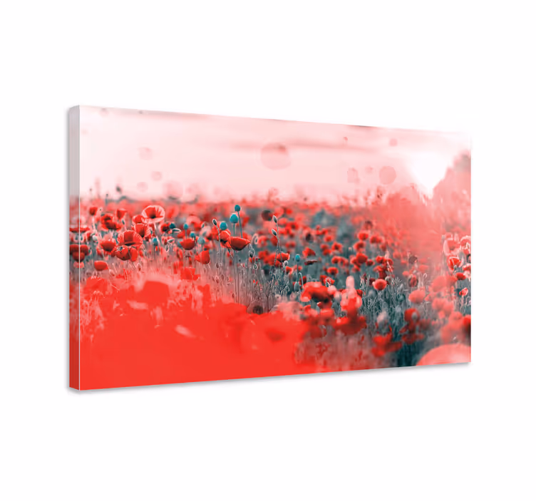 Canvas schilderij bloemen levendig klaprozenveld - TenStickers