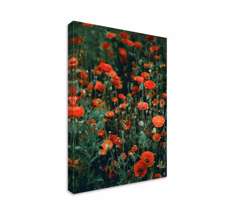 Canvas schilderij bloemen en planten rode wilde bloemen veld - TenStickers