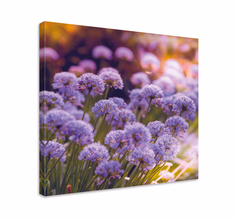 Canvas schilderij bloemen en planten paarse bloeiwijzen - TenStickers