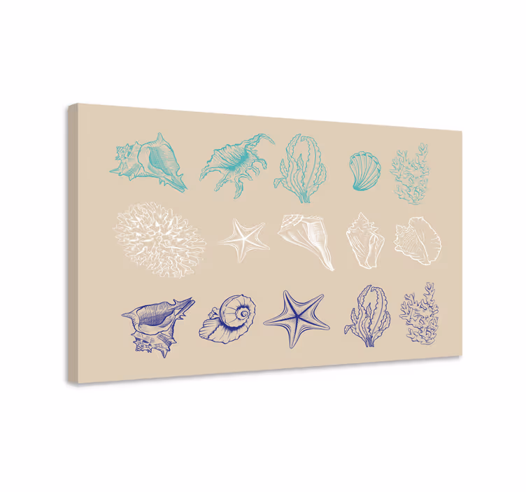 Canvas schilderij marine schelpen uit de kustcollectie - TenStickers
