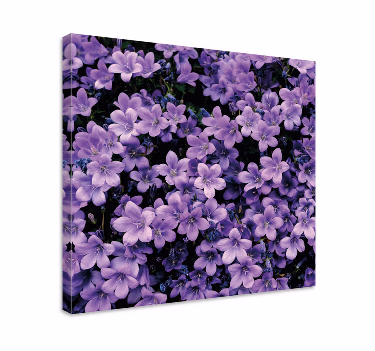 Canvas schilderijen bloemen Vage paarse bloemen - TenStickers