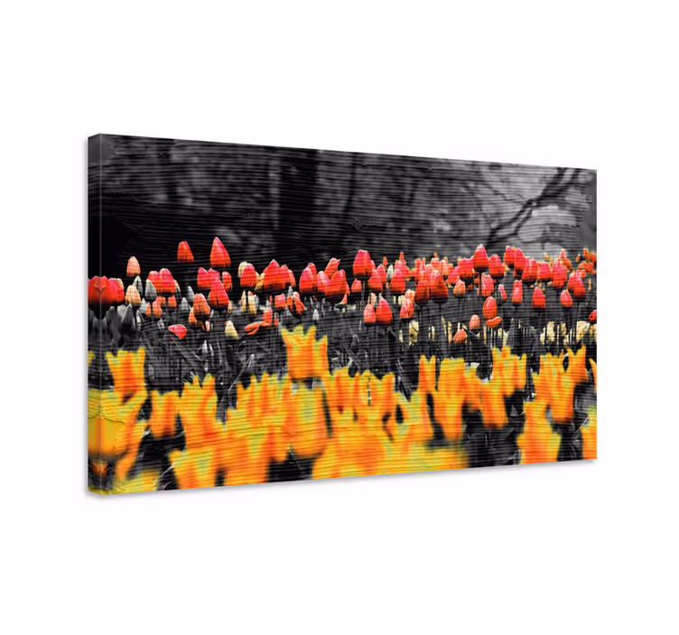 Canvas schilderij bloemen en planten kleurrijke tulpen tuin - TenStickers
