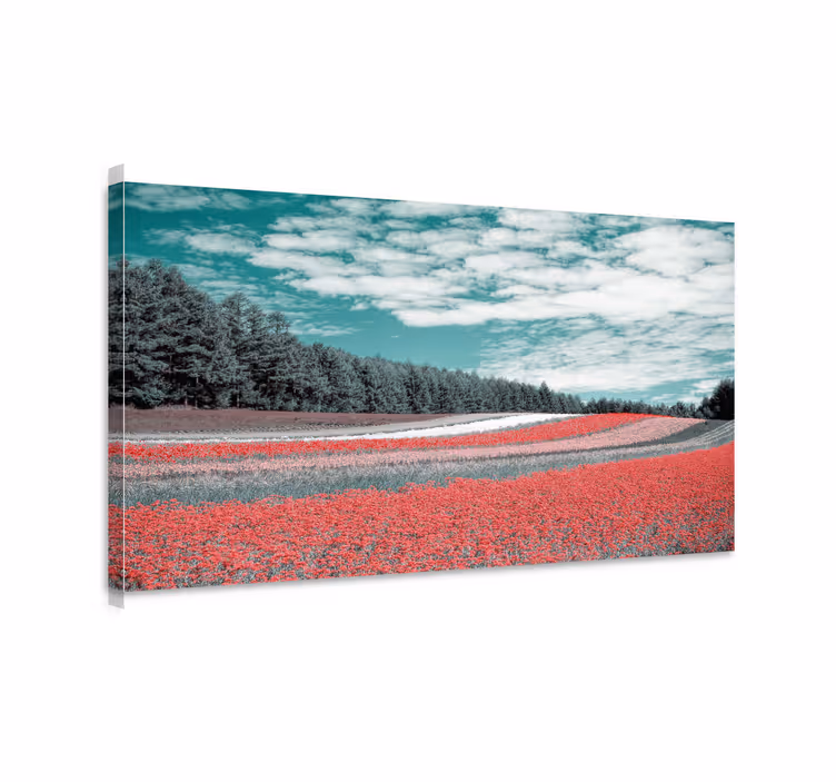 Canvas landschap levendig bloemenveld - TenStickers