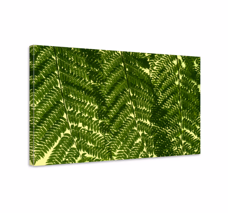 Canvas schilderij bloemen en planten varenbladeren display - TenStickers