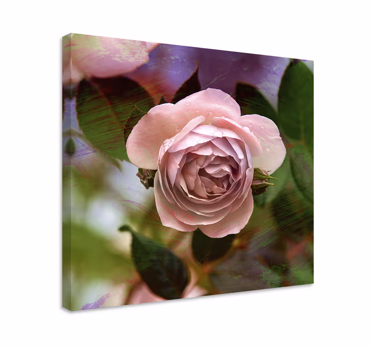 Canvas schilderij bloemen en planten rozenbloesem roze - TenStickers