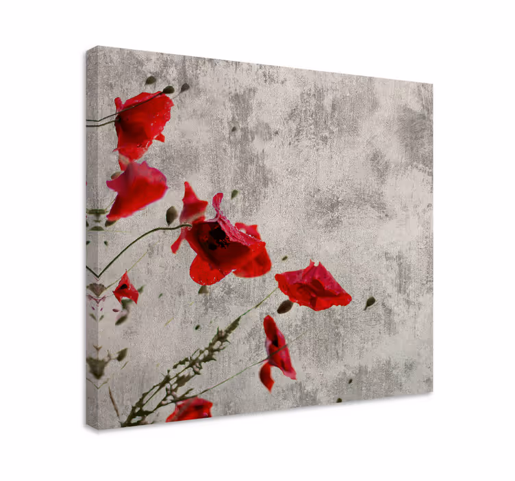 Canvas schilderij bloemen en planten rode klaprozen - TenStickers
