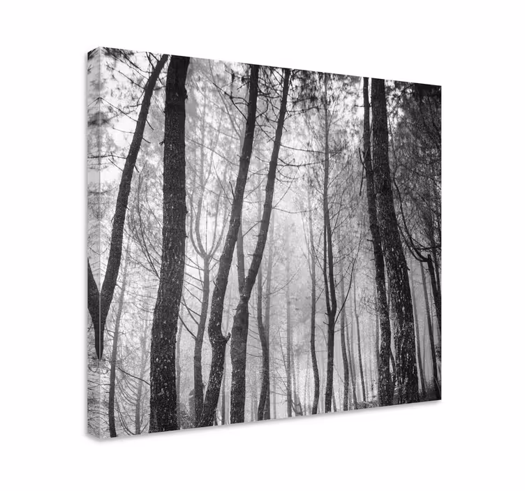 Canvas landschap Mistig bos van bovenaf - TenStickers