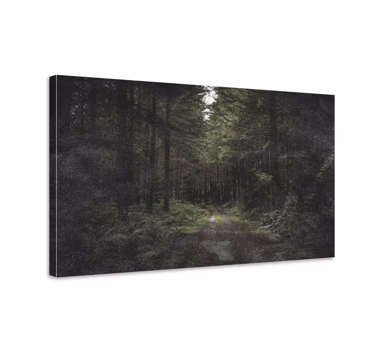 Canvas landschap bospad sereniteit - TenStickers