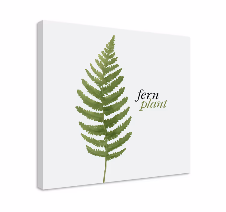Canvas schilderij bloemen en planten varens ontwerp - TenStickers