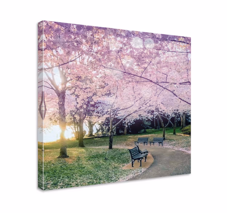 Canvas schilderij bloemen en planten kersenbloesem pad - TenStickers