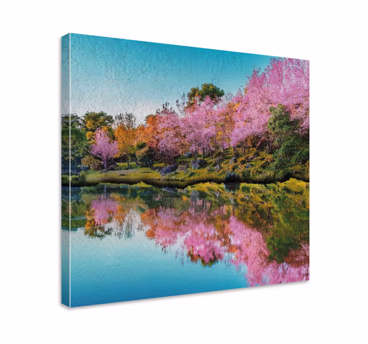 Kersenbloesem weerspiegeling Canvas landschap - TenStickers