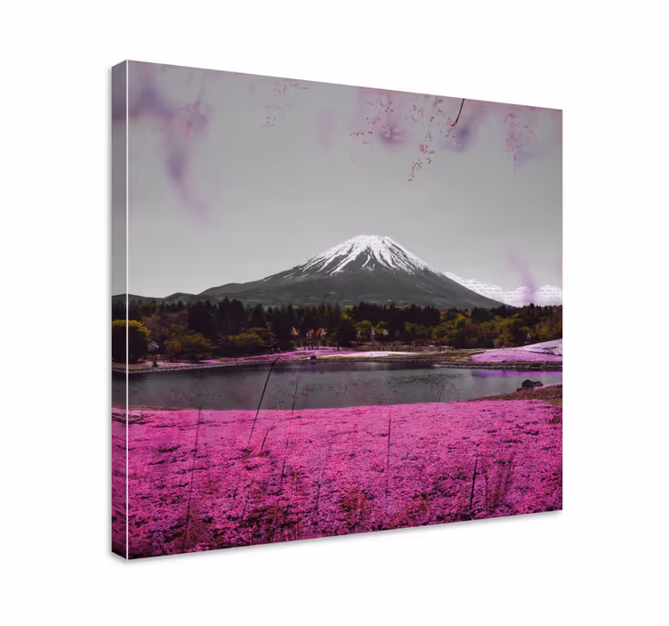 Canvas landschap fuji reflectie - TenStickers
