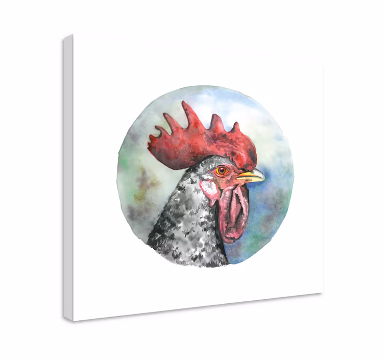 Canvas schilderij vogels haan portret - TenStickers