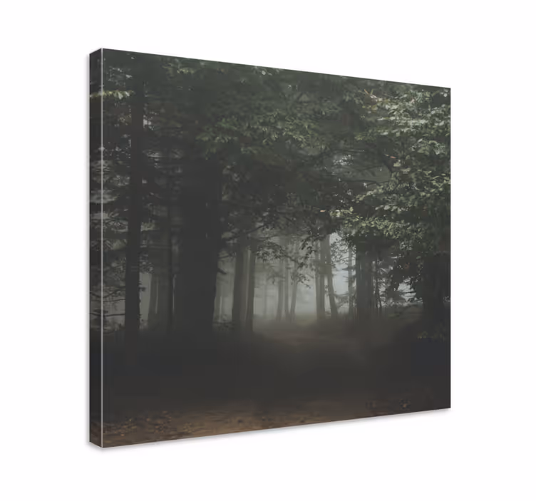 Canvas landschap verborgen bospad - TenStickers