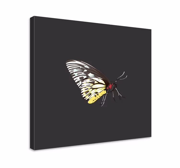 Canvas schilderij vlinder elegant vlinderprofiel - TenStickers