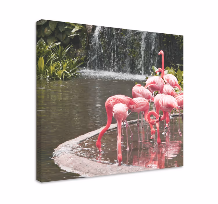 Canvas schilderij vogels flamingo's bij het zwembad - TenStickers