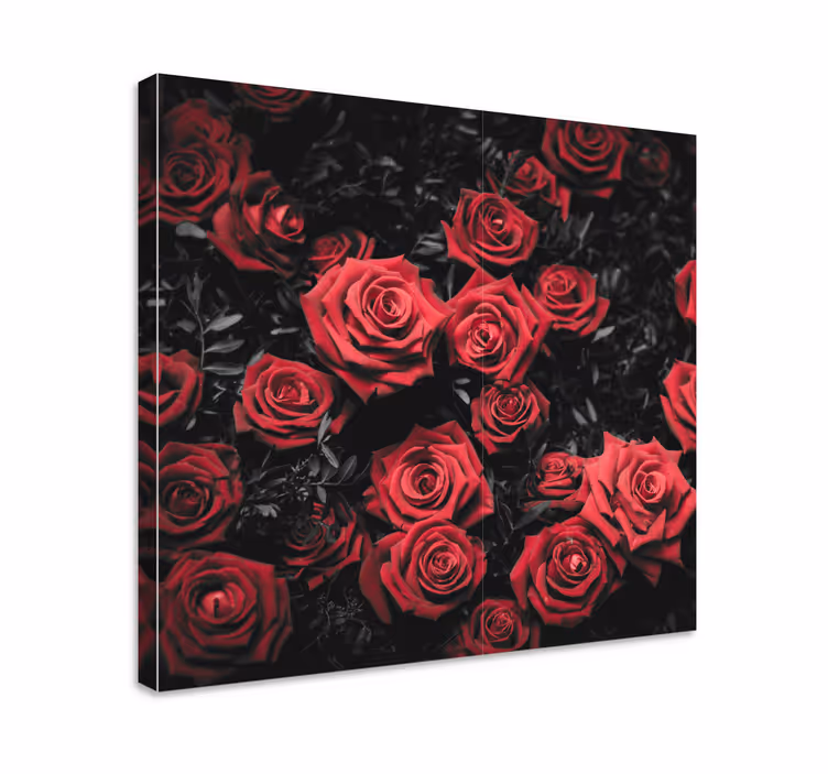 Canvas schilderijen bloemen Zwart en wit met rode rozen - TenStickers