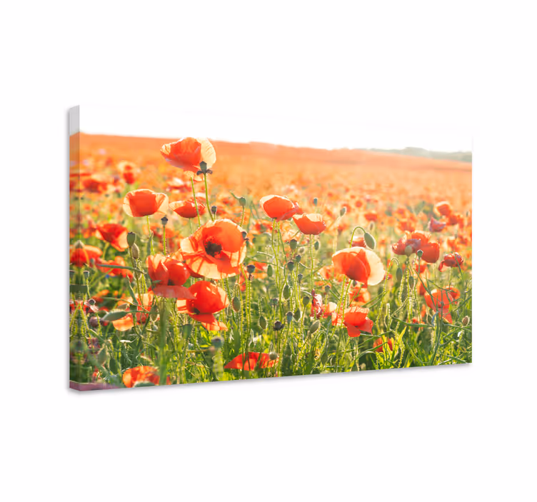 Canvas schilderij bloemen en planten veld van klaprozen - TenStickers