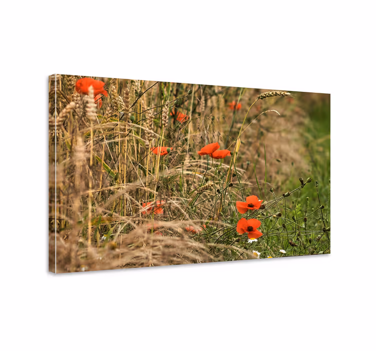 Levendig klaprozenveld Canvas schilderij bloemen en planten - TenStickers