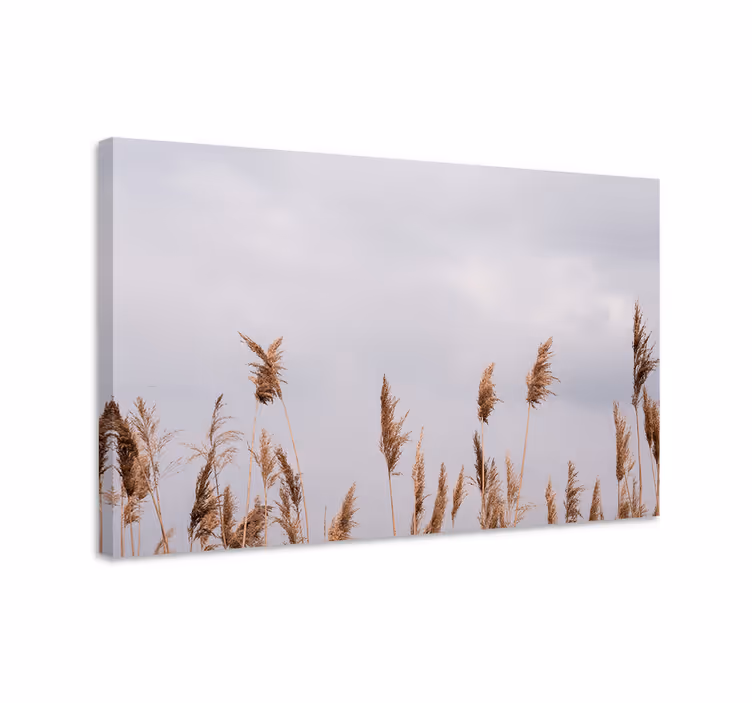 Canvas schilderij bloemen en planten hoge grasstelen - TenStickers