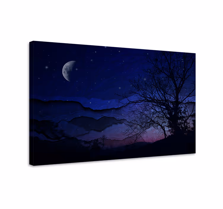 Canvas landschap nachtelijke hemel sereniteit - TenStickers