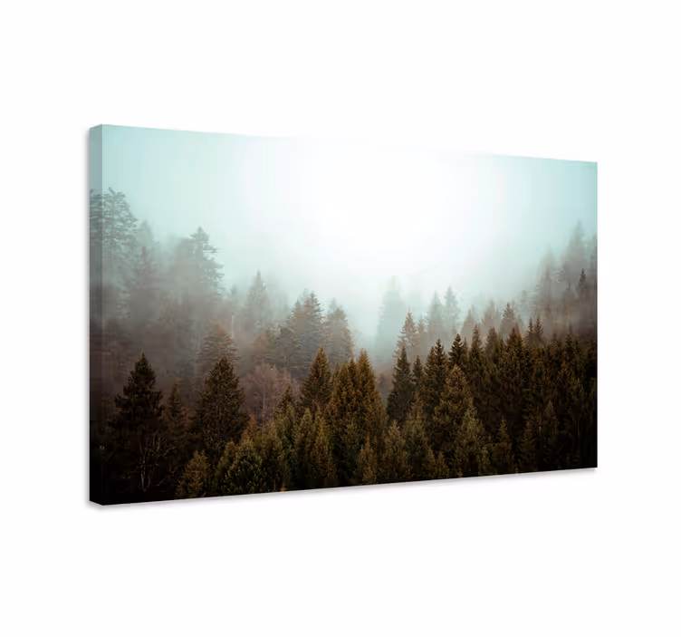 Canvas landschap mistige bosuitzicht - TenStickers