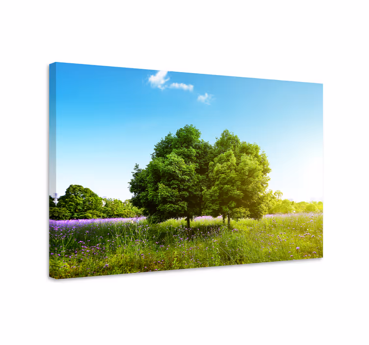 Canvas bomen rustige groene scène - TenStickers