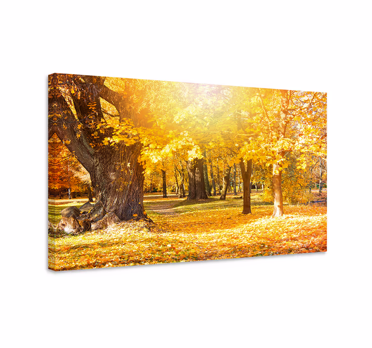 Canvas bomen herfst boswandeling - TenStickers