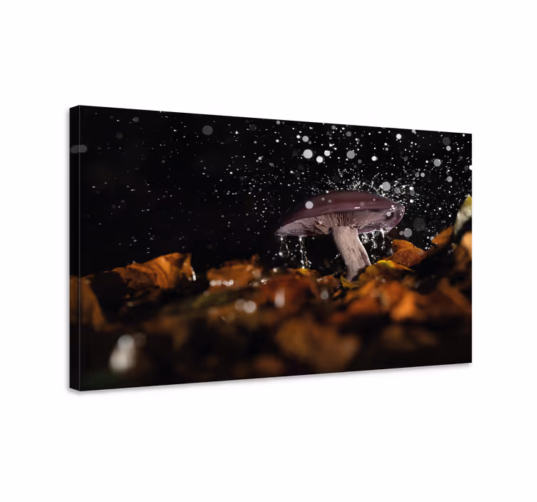 Canvas schilderij bloemen en planten paddestoel spetter - TenStickers