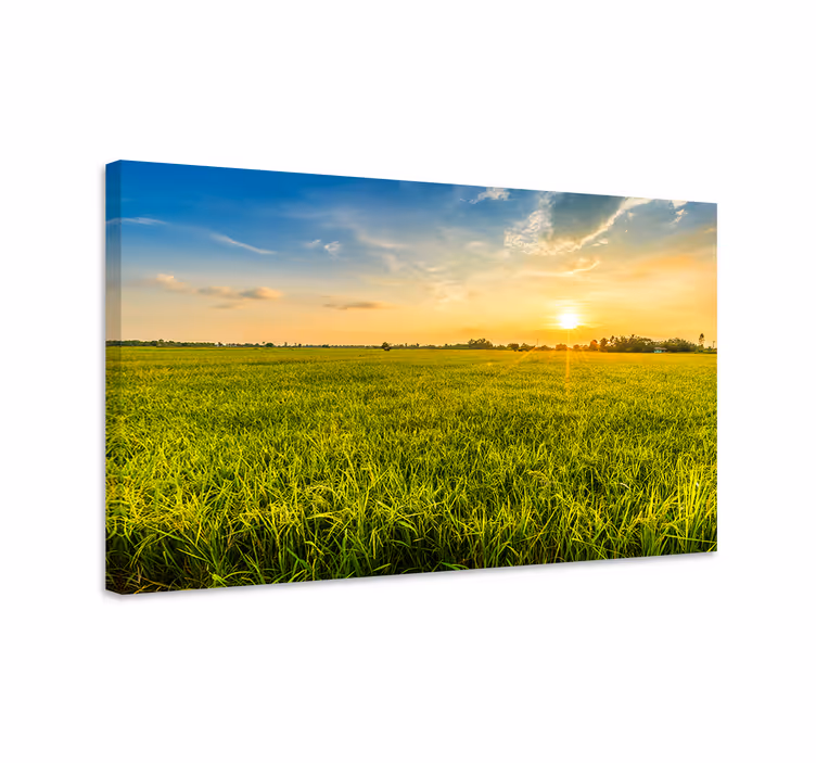 Zonsondergang over velden Canvas landschap - TenStickers