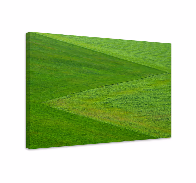 Canvas landschap weelderig groen territorium - TenStickers