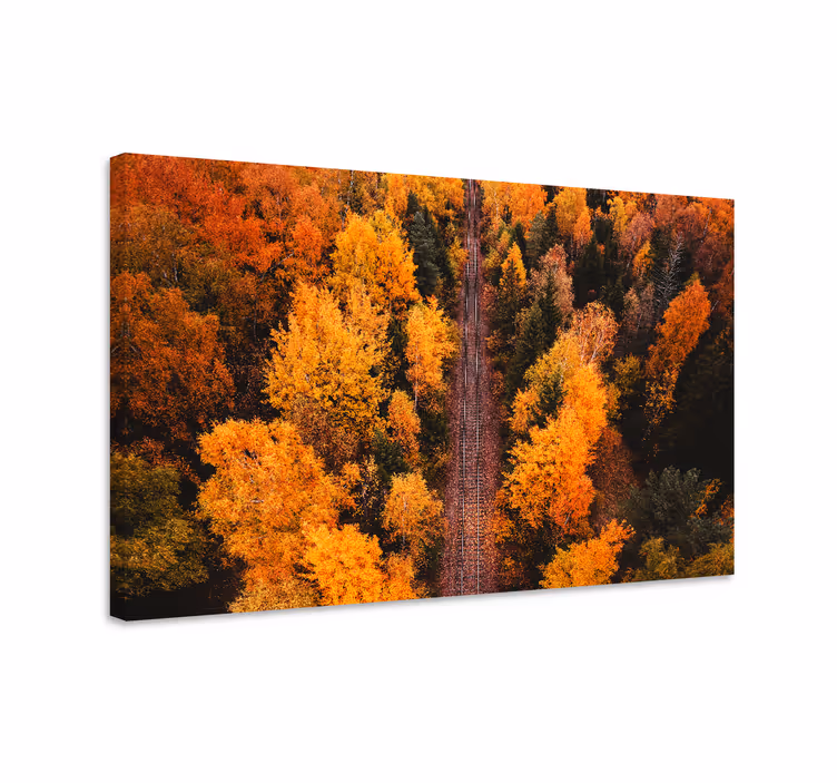 Canvas landschap herfstbladpaden - TenStickers
