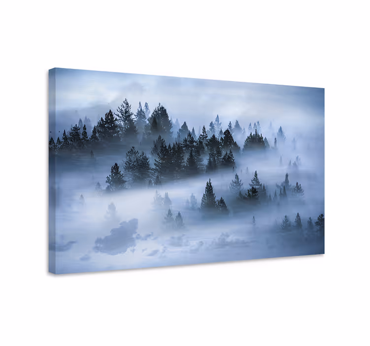 Canvas landschap mistige dennenwoud - TenStickers