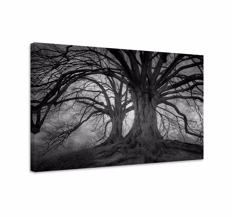 Canvas bomen mysterieuze bladloze bomen - TenStickers