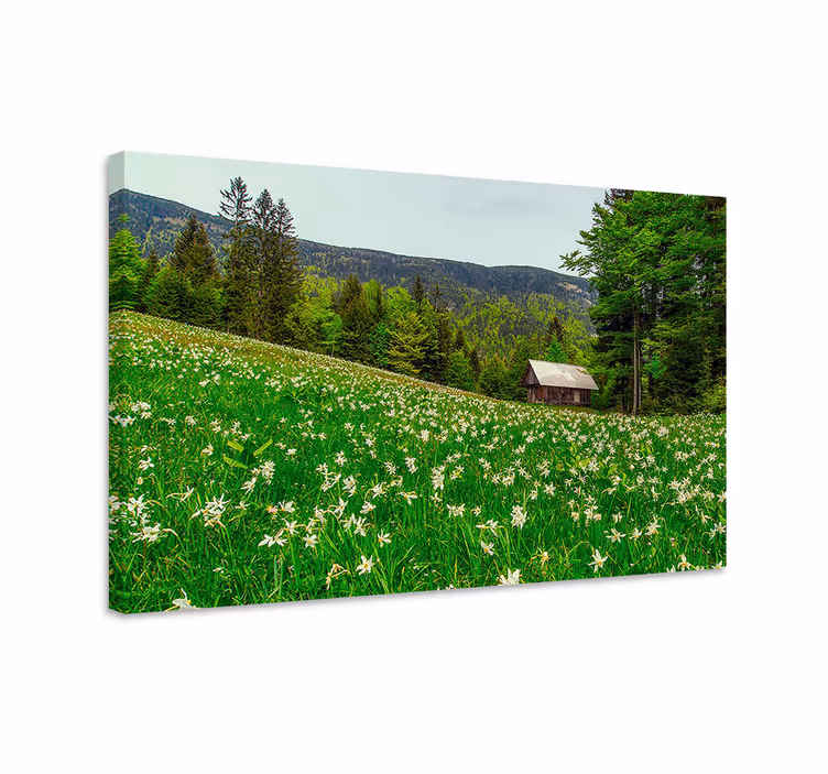 Canvas landschap charmante landhuis cabin - TenStickers