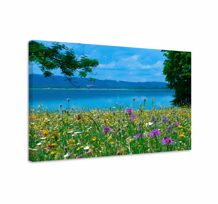 Canvas schilderij bloemen en planten bloeiende weidezicht - TenStickers