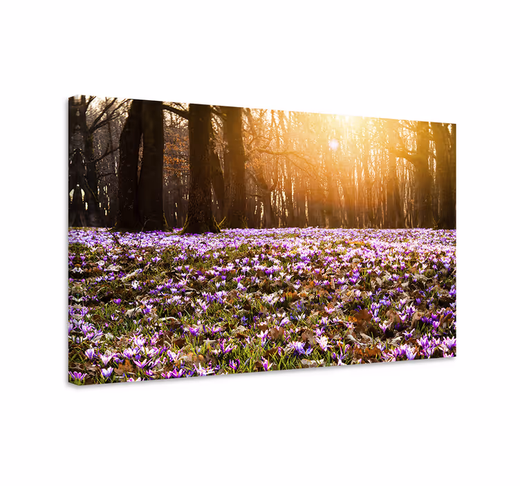 Canvas schilderij bloemen en planten lente landschap - TenStickers