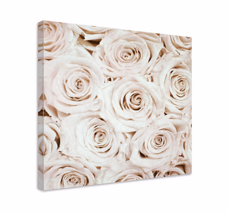 Canvas schilderij bloemen en planten gentle rozenbloesem - TenStickers