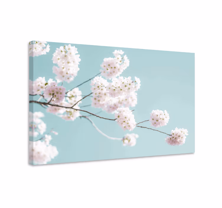 Canvas schilderij bloemen en planten sakura bloemtak - TenStickers
