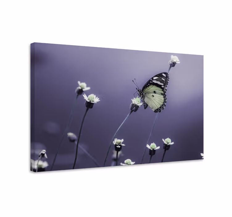 Canvas schilderij vlinder vlinder tussen bloemen - TenStickers