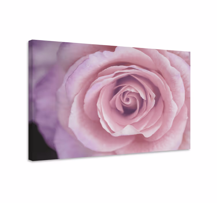 Canvas schilderij bloemen en planten roze bloemen detail - TenStickers