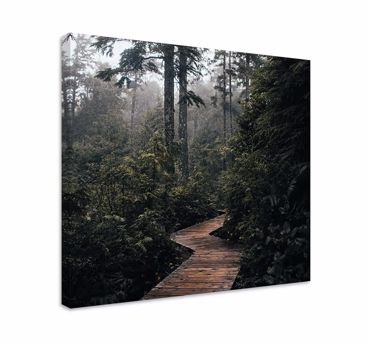 Canvas landschap rustig bospad - TenStickers