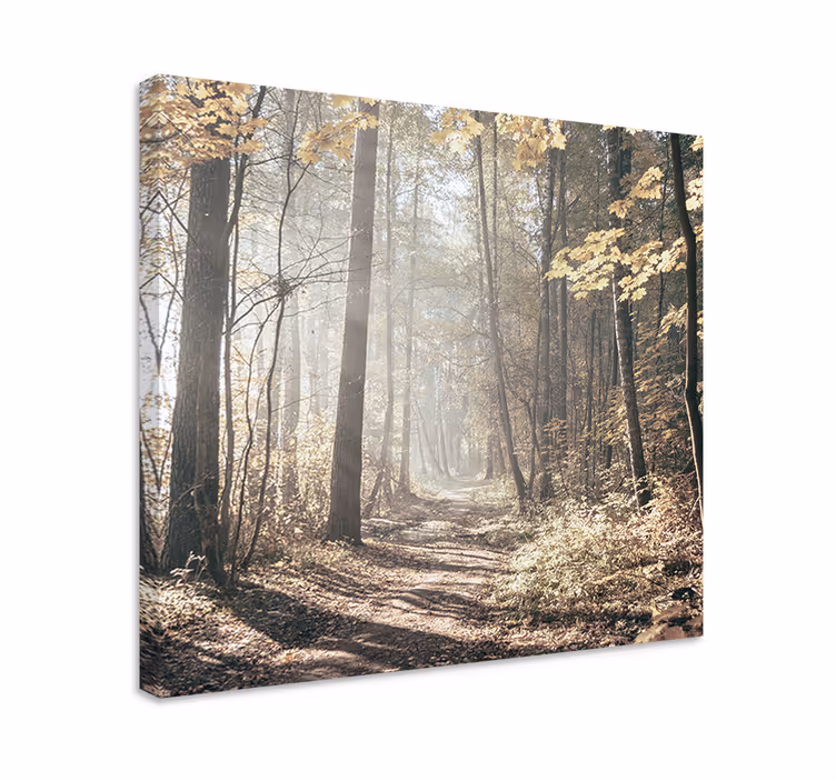 Canvas landschap mist bedekte pad - TenStickers