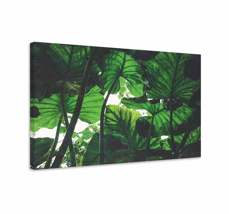 Canvas schilderij bloemen en planten tropisch bladendak - TenStickers