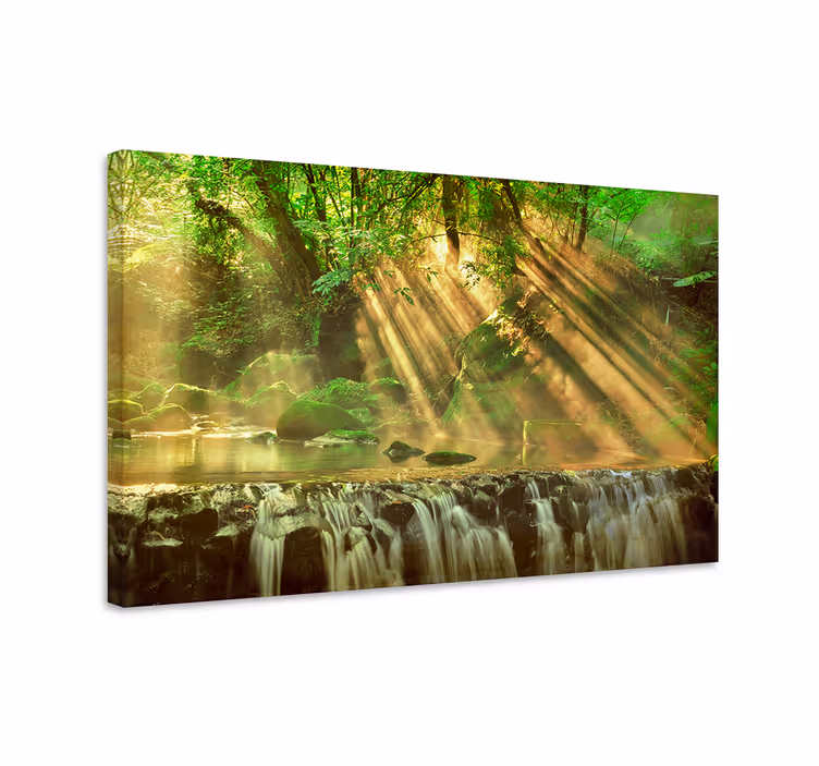 Canvas landschap zonovergoten bosbeek - TenStickers